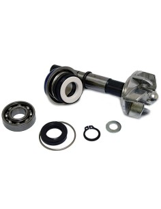 kit reparacion bomba de agua daelim s3 37282034