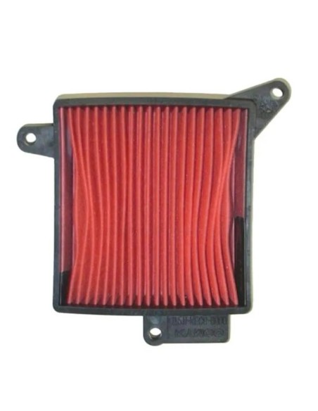 filtro aire sgr daelim 125 s2 f264464