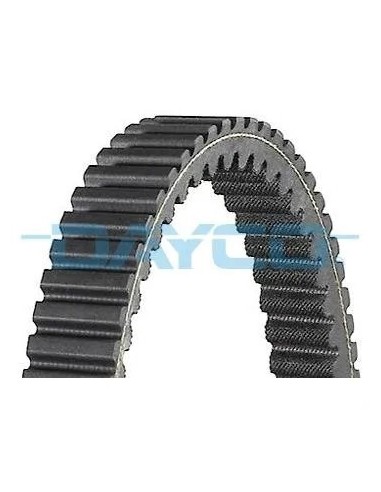 correa dayco para suzuki aprilia piaggio