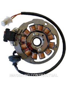 Stator Ducati 12 Polos 12V 140W (Motor Minarelli 50 2T Euro2-2.3)