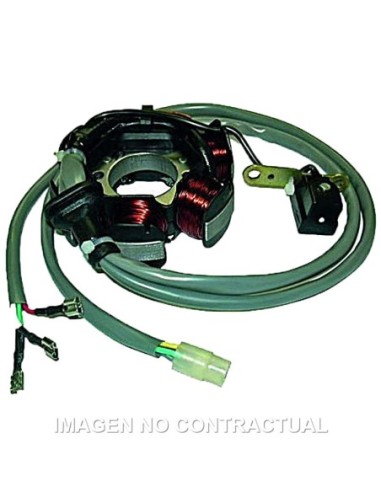 Stator 6 Polos 12V 90W (Motor Piaggio 50 2T)