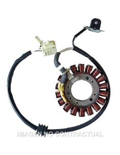 Stator SGR Trifase 18 Polos con pick-up 2 cables(Motor Yamaha 500 4T Carburador)