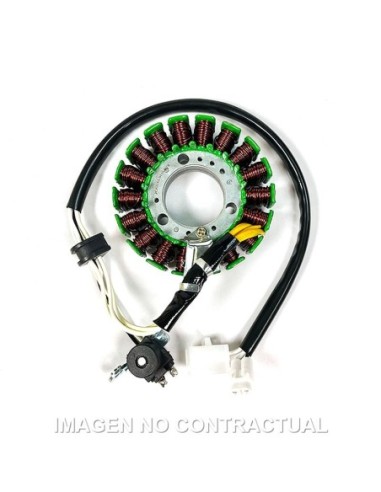 Stator SGR Trifase 18 polos con pick-up 2 cables Xcity