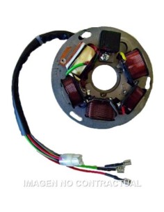 Stator SGR 6 Polos con base Piaggio SIN PICK-UP