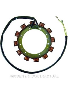 Stator Saprisa 12 Polos 12V- 18A/24A/30A