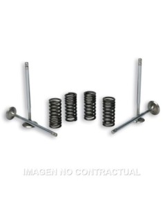 Válvulas 4 Stroke Malossi Con Muelles para culata original