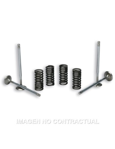 Válvulas 4 Stroke Malossi Con Muelles para culata original