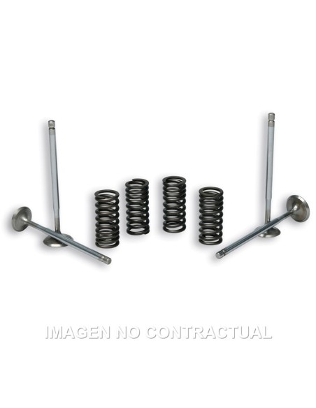 Válvulas 4 Stroke Malossi Con Muelles para culata original