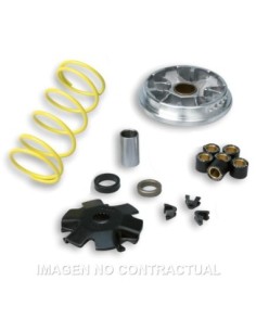 Variador Malossi Multivar Derbi Predator LC