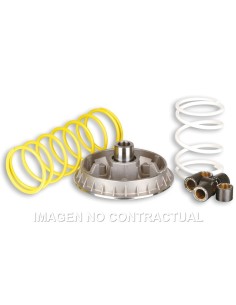 Variador Malossi Multivar 2000 Foresight 250