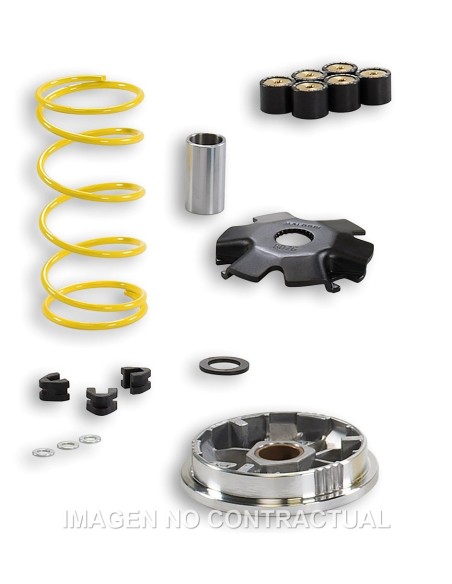 Variador Malossi Multivar Suzuki Address 100