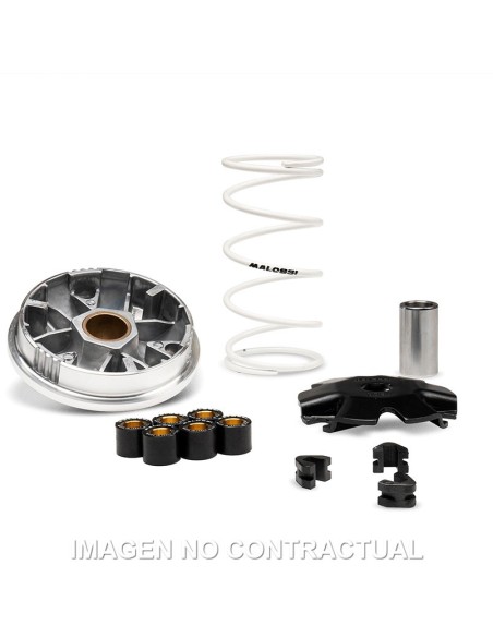 Variador Malossi Multivar RIEJU BYE BIKE ONE