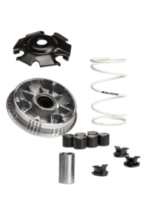 Variador Malossi Multivar SYM JET X 125 IE E5