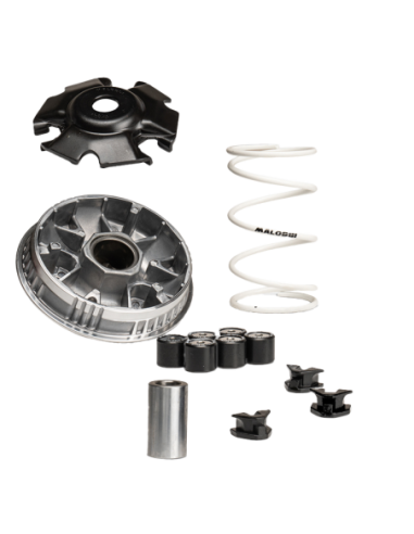 Variador Malossi Multivar SYM JET X 125 IE E5