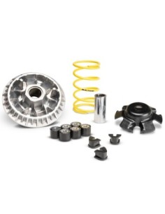 Variador Malossi Multivar SYM Joymax Z+ 300 IE E5