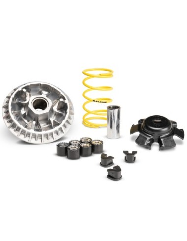 Variador Malossi Multivar SYM Joymax Z+ 300 IE E5