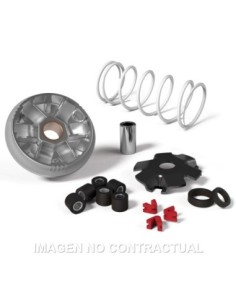 Variador Malossi Multivar Yamaha Bws, Aprilia Amico, SR 50