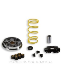 Variador Malossi Multivar Suzuki 50 Adress,Katana,Formula