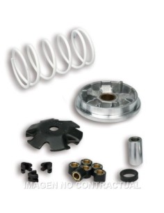 Variador Malossi Multivar Peugeot Buxy Zenith, Speedake