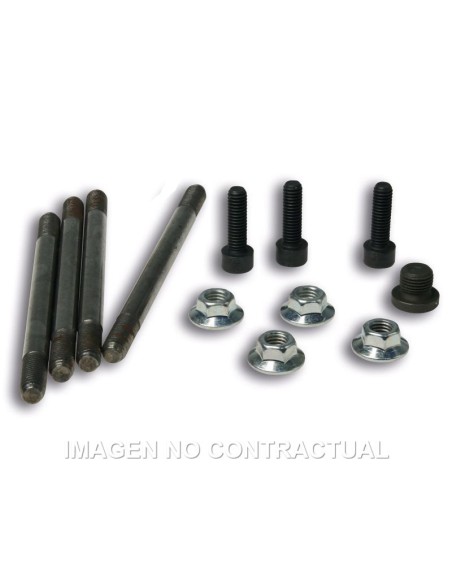 Conjunto Tornillería Cilindro 3112386
