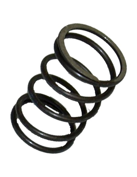 Muelle individual de embrague Vespa 200