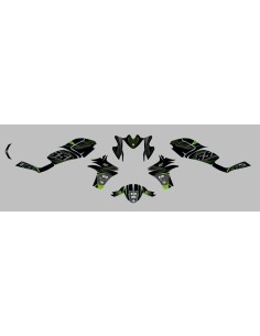 Kit Deco UP Maximize Negro-Verde Kawasaki ER6N