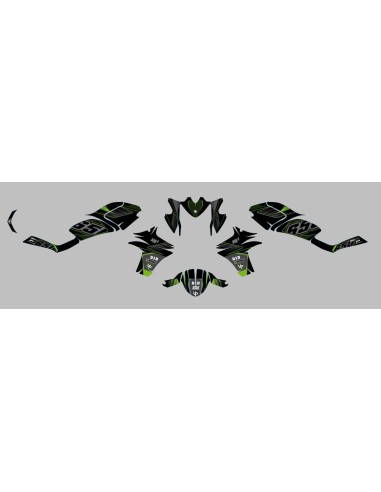 Kit Deco UP Maximize Negro-Verde Kawasaki ER6N