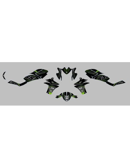 Kit Deco UP Maximize Negro-Verde Kawasaki ER6N