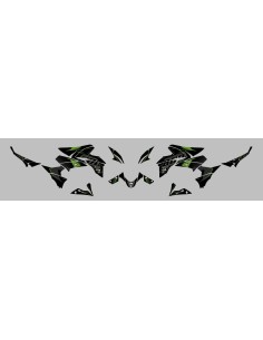 Kit Deco UP Maximize Negro-Verde Kawasaki Z800