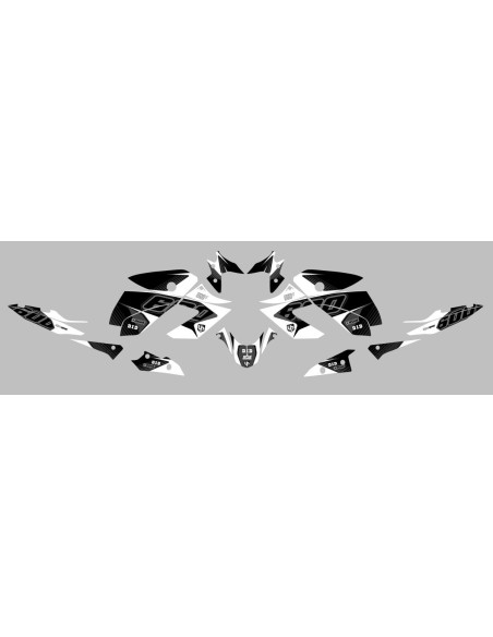 Kit Deco UP Maximize Negro-Blanco Yamaha XJ6