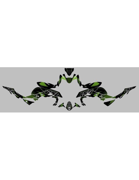 Kit Deco UP Maximize Negro-Verde Kawasaki Z650