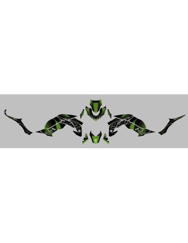 Kit Deco UP Maximize Negro-Verde Kawasaki Z900