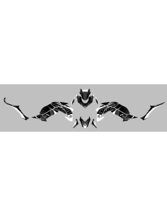 Kit Deco UP Maximize Negro-Blanco Kawasaki Z900