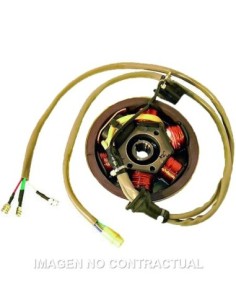 Volante Magnético 6 Polos 12V 90W (Motor Piaggio 50 2T)