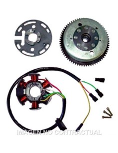 Volante Magnético 6 Polos 12V 85W (Motor Derbi/Piaggio 6 Marchas con arranque eléctrico)