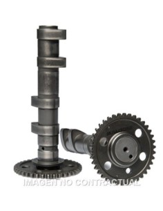 Arbol de levas doble Malossi Yamaha T-Max 560