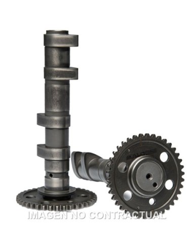 Arbol de levas doble Malossi Yamaha T-Max 560