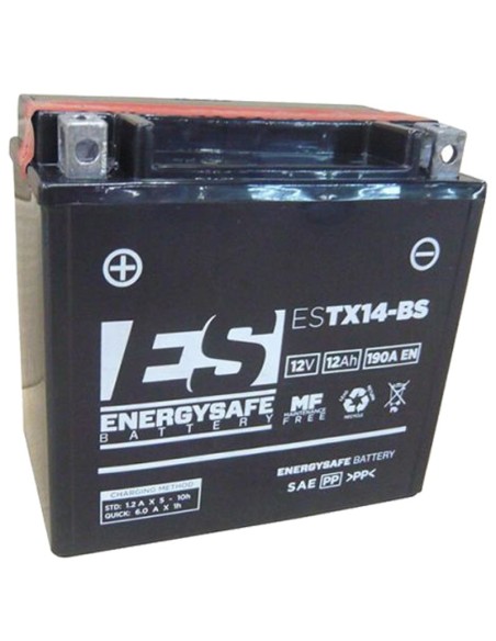 Batería Energysafe ESTX14-BS Sin Mantenimiento