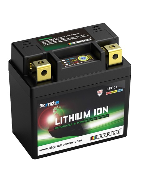 Batería litio Skyrich LFP01