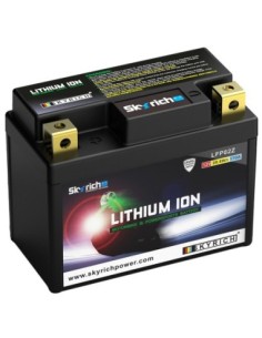 Batería litio Skyrich LFP02Z