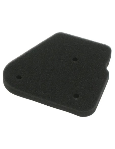 filtro aire meiwa malaguti f12 50 f264310