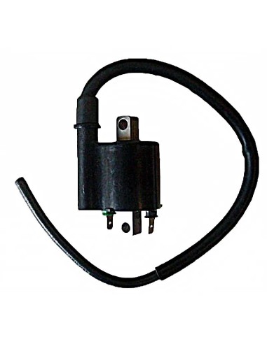 bobina 12v 3 ohm 2 fastons con cable 40 cm 04174320