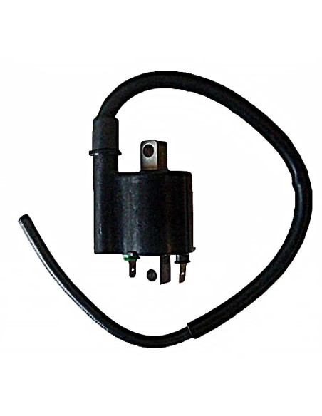 bobina 12v 3 ohm 2 fastons con cable 40 cm 04174320