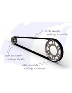 correa dentada transmision bmw f800 s st