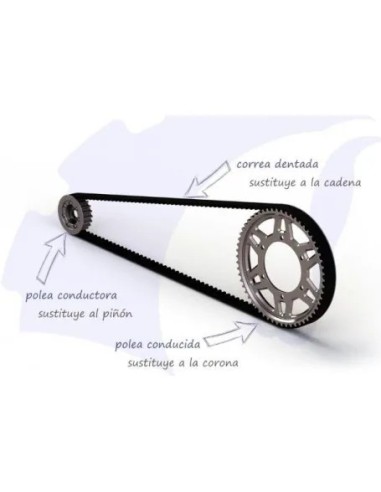 correa dentada transmision bmw f800 s st