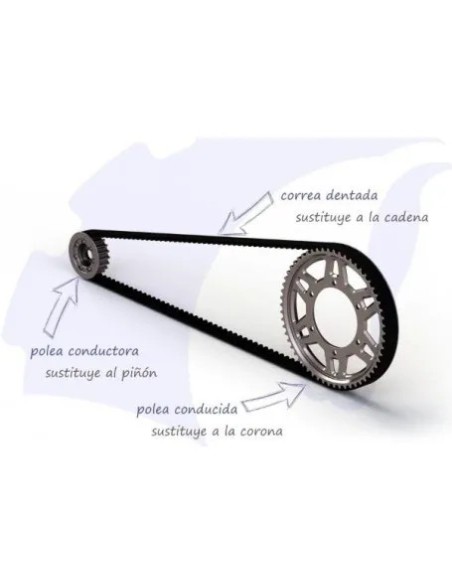 correa dentada transmision bmw f800 s st