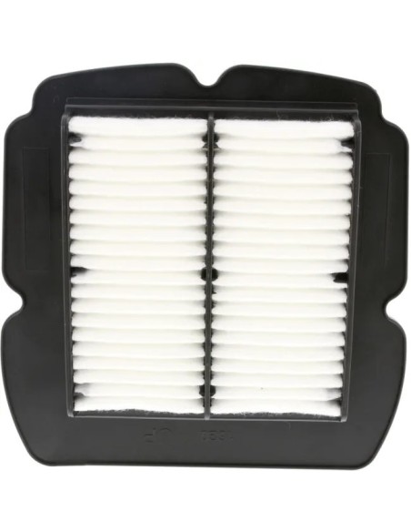 filtro de aire champion para moto suzuki caf2612