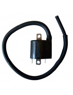 bobina mitsubishi f6t559 12v 3 6ohm 2 contactos c 04161206