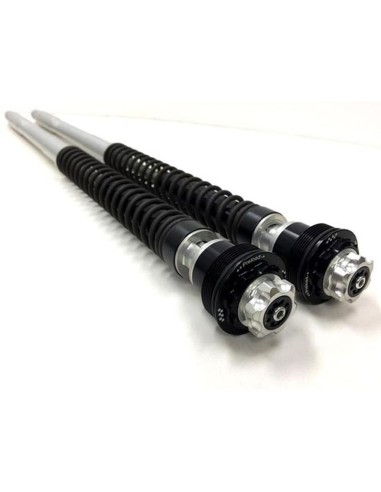 cartuchos de horquilla matris f20k f20y155k para yamaha yzf r7 2021 modelos rm39 rm4