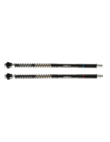 cartuchos de horquilla matris f25sa aprilia rs 457 2024 ref f25a126sa
